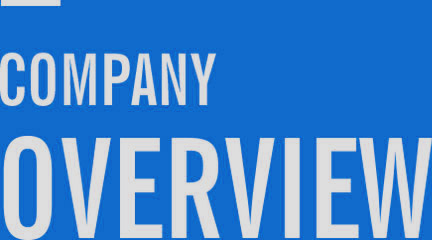 公司概覽